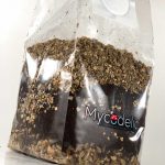 mix-todo-en-uno-cultivo-de-hongos-2