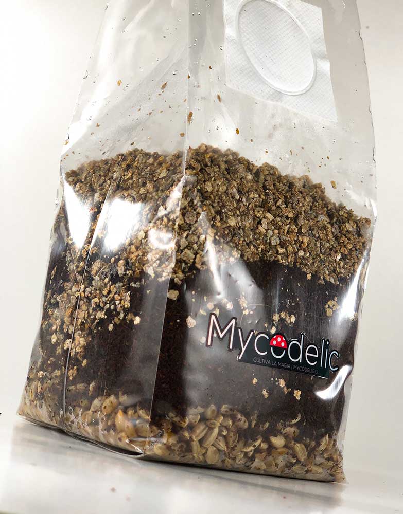 mix-todo-en-uno-cultivo-de-hongos-2