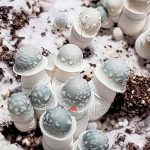 Albino Penis Envy (APE) - Jeringa de Esporas 10ml