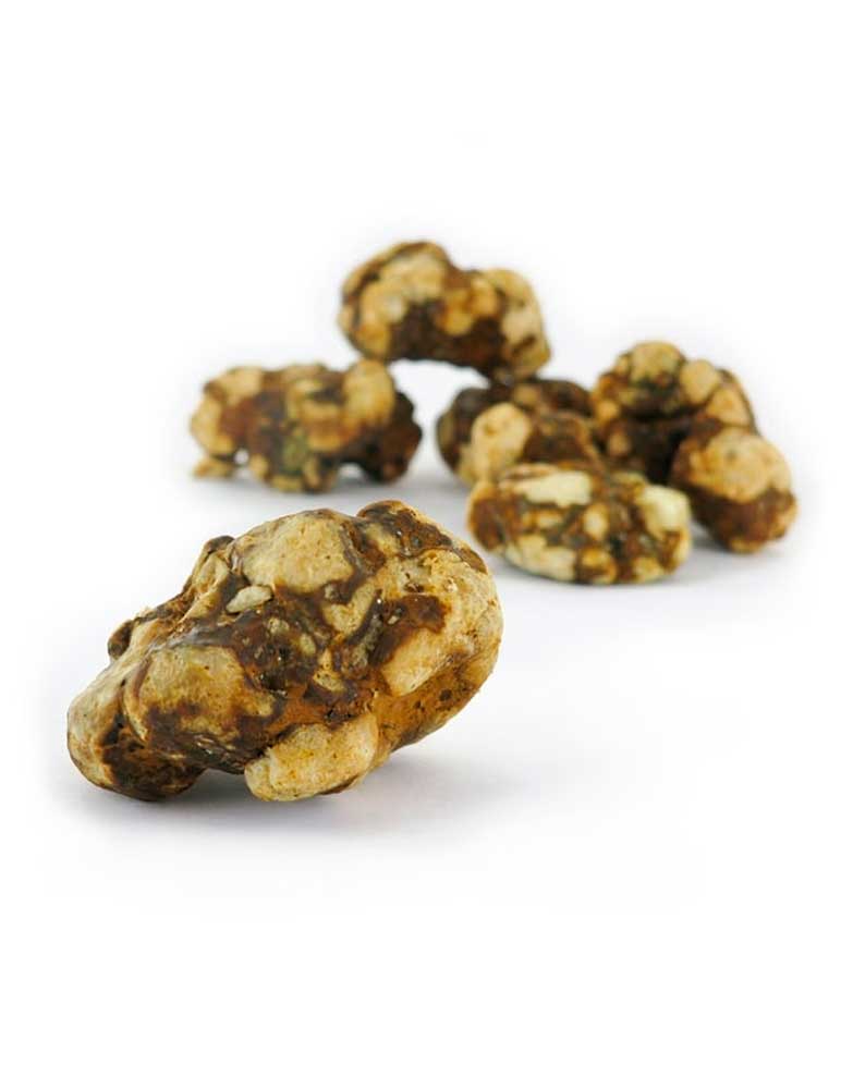 psilocybe-atlantis-trufas-1