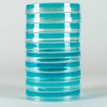 Placas Petri con PDA 90mm – 10 Unidades