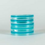 placa-petri-con-pda-2