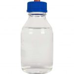 honey-tek-cultivo-de-hongos