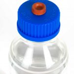 honey-tek-cultivo-de-hongos