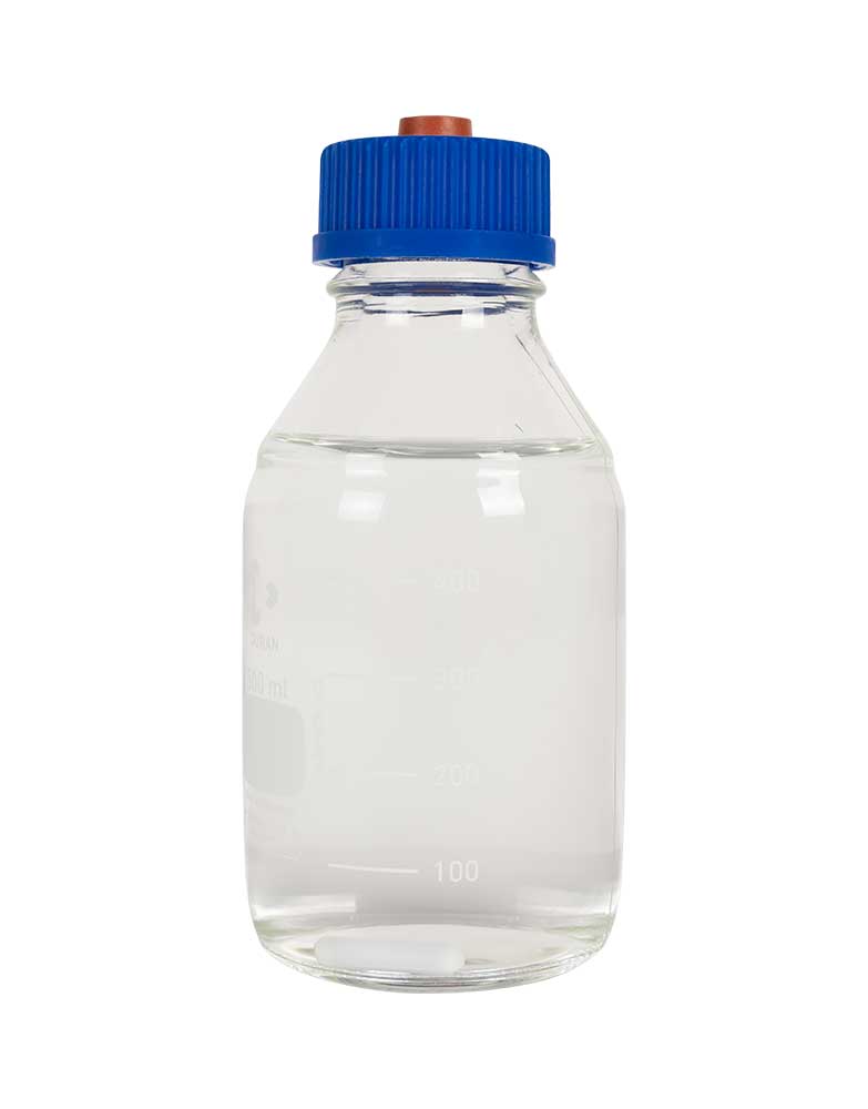 honey-tek-cultivo-de-hongos