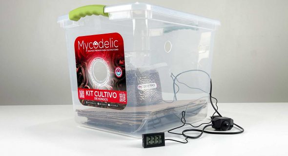 Incubación con Manta Calefactora