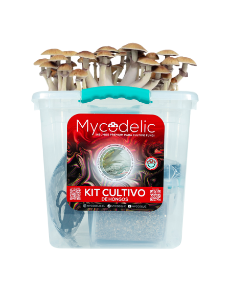 Kit Cultivo de Hongos 80g