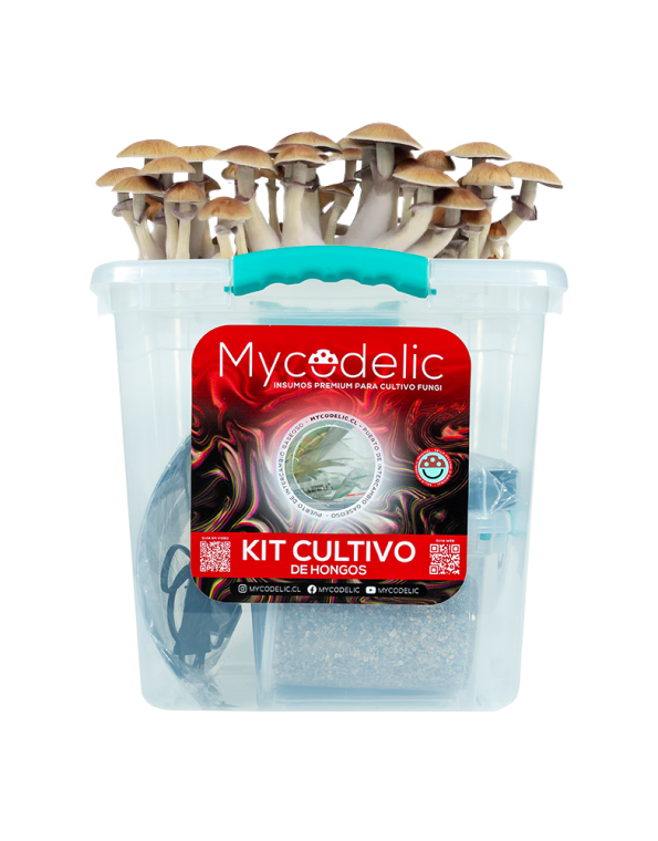 Kit Cultivo de Hongos 80g