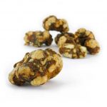 Psilocybe Atlantis (Trufera) - Jeringa de Esporas 10ml