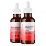 Extracto de Reishi (Ganoderma lucidum) – Doble Extracto 3:1 – 30 ml
