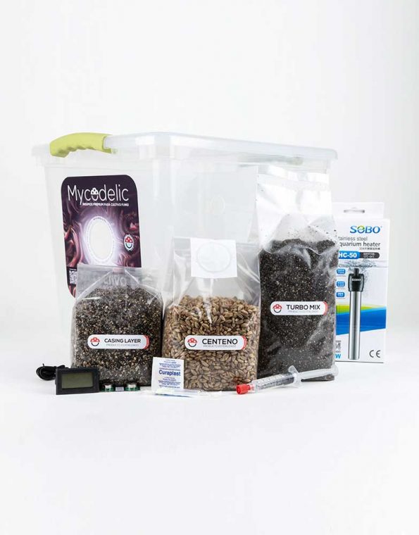 MycoGrow - Kit para estudio de hongos 80g