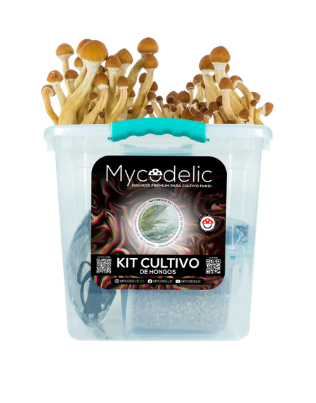 Kit Cultivo de Hongos 160g - Explosivo