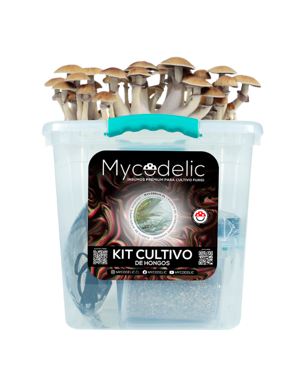 Kit Cultivo de Hongos 80g - Explosivo