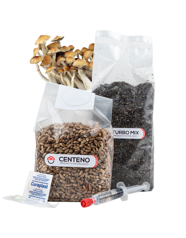 Recarga de Cultivo 80g - Explosiva