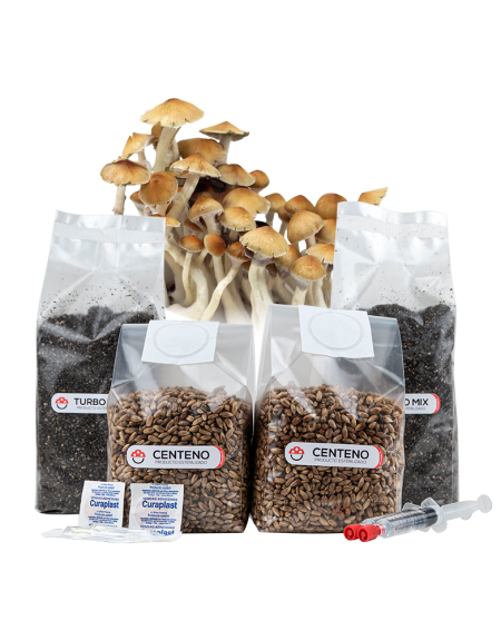 Recarga de Cultivo 160g - Explosiva