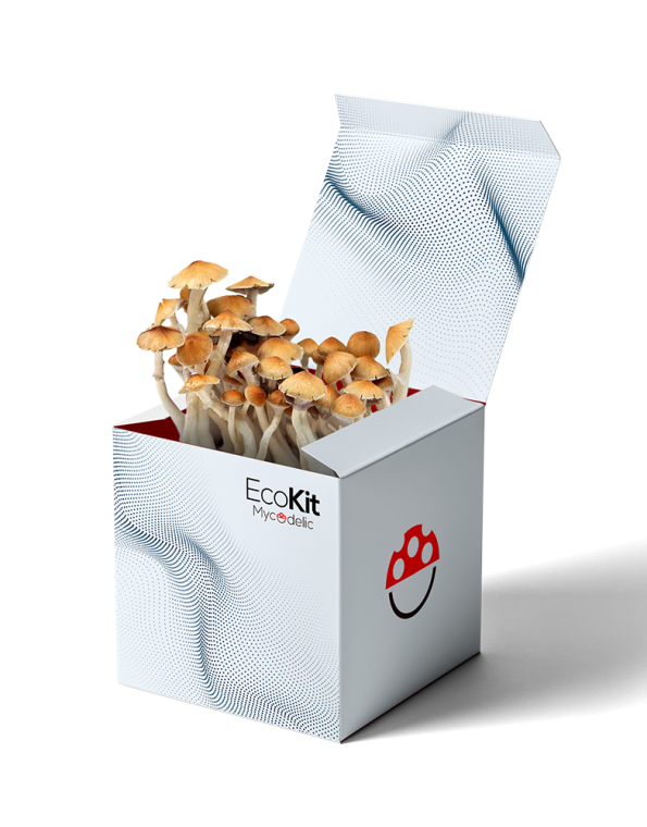 EcoKit 40g