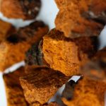 Extracto de Chaga (Inonotus obliquus) – Doble Extracto 3:1 – 30 ml